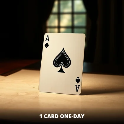 1 Card One Day live game on the 99exch casino floor