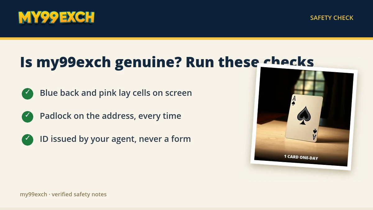 my99exch safety check card with genuine panel signs and a casino tile
